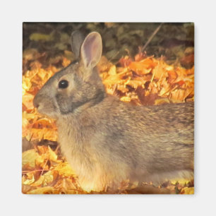 Herbst-Häschen Magnet