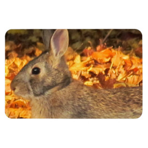 Herbst-Häschen Magnet