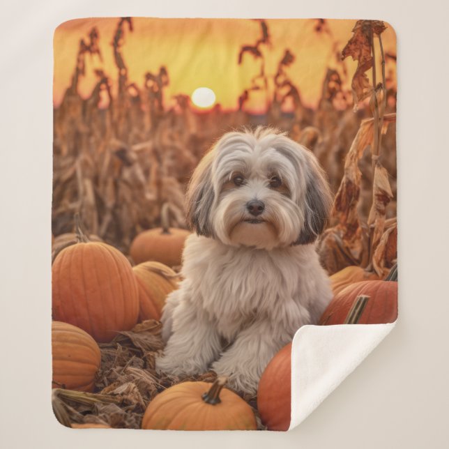 Herbst Havanese Sherpadecke (Vorderseite)