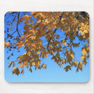 Herbst, Herbstlaub, Bäume und blauer Himmel Mousepad