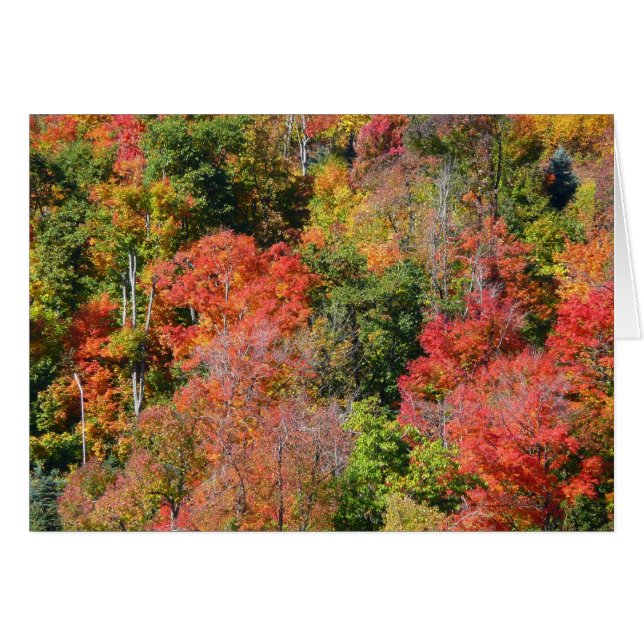 Herbst Hillside farbenfrohe Herbstfotografie (Vorderseite (Horizontal))