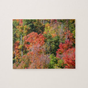 Herbst Hillside farbenfrohe Herbstfotografie