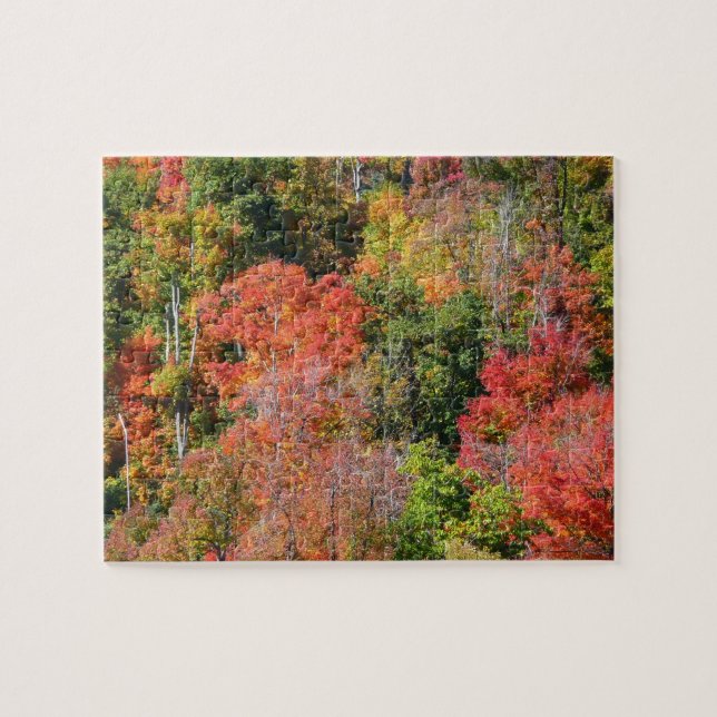 Herbst Hillside farbenfrohe Herbstfotografie (Horizontal)