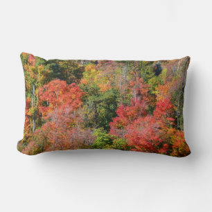 Herbst Hillside farbenfrohe Herbstfotografie Lendenkissen