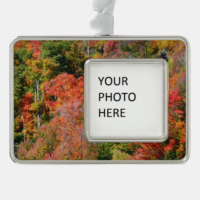 Herbst Hillside farbenfrohe Herbstfotografie Rahmen-Ornament Silber (Vorderseite)