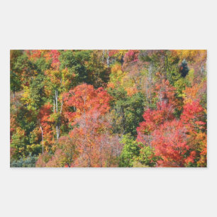 Herbst Hillside farbenfrohe Herbstfotografie Rechteckiger Aufkleber