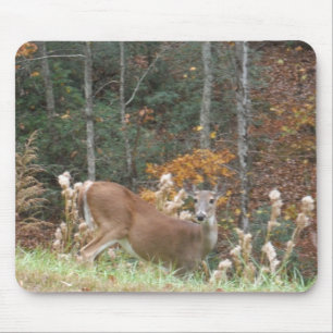 Herbst Hirsche im Arrowhad GA Mousepad
