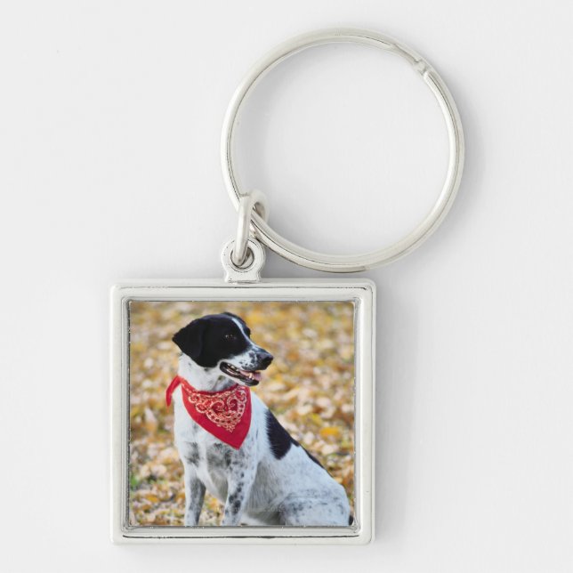 Herbst-Hund Schlüsselanhänger (Vorne)