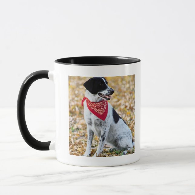 Herbst-Hund Tasse (Links)