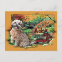 Herbst - Hunde Lieben Mehr - Shihpoo - Maggie