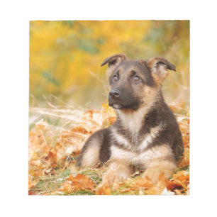 Herbst Hundewelpe Notizblock