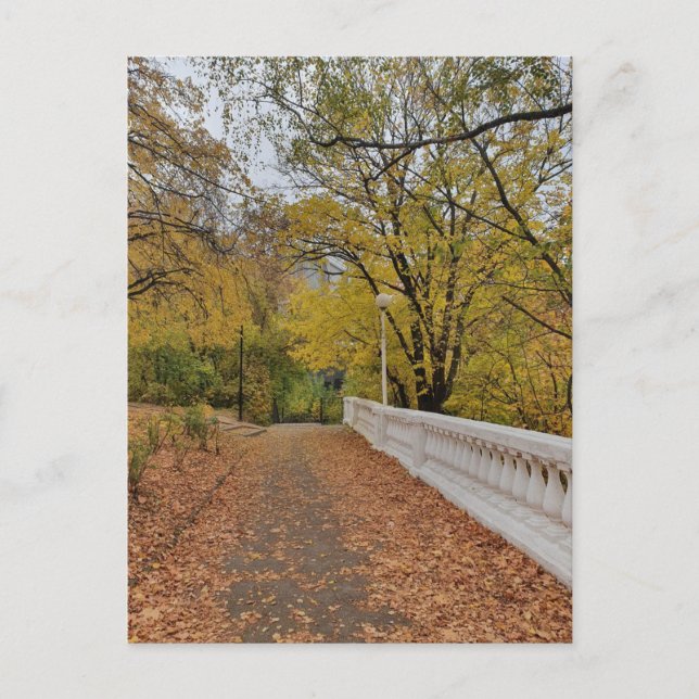 Herbst im alten Park. Postkarte (Vorderseite)