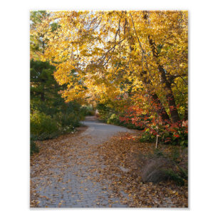 Herbst im botanischen Garten in Madison Fotodruck