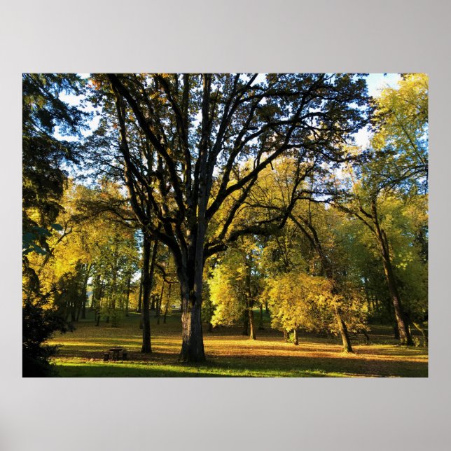 Herbst im Champoeg Staat Park, OR Poster (Vorne)