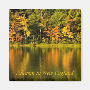 Herbst im New England Magnet