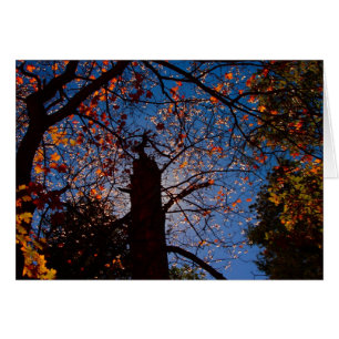 Herbst im New Mexiko