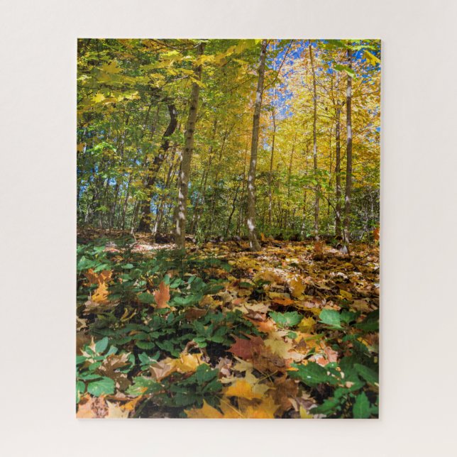 Herbst im New York Jigsaw Puzzle (Vertikal)
