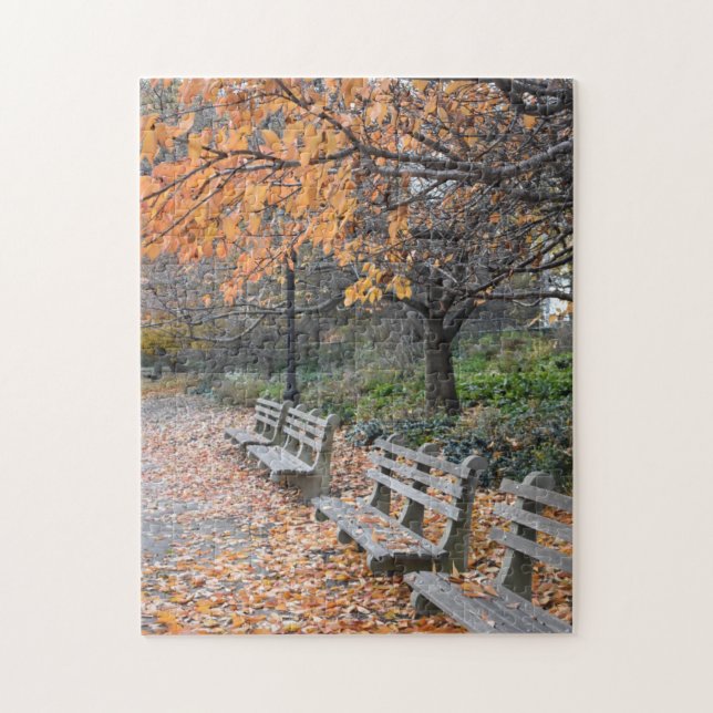 Herbst im New Yorker Riverside Park NYC-Foto (Vertikal)