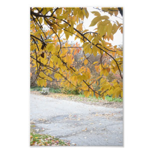 Herbst im New Yorker Riverside Park NYC-Foto Fotodruck