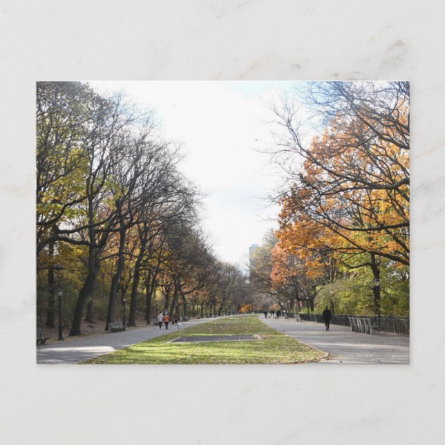 Herbst im New Yorker Riverside Park NYC-Foto Postkarte (Vorderseite)