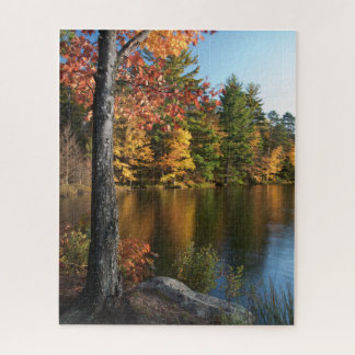 Herbst im Nordwald - 1