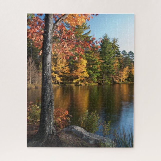 Herbst im Nordwald - 1 (Vertikal)