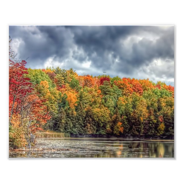 Herbst im Nordwald Fotodruck (Vorne)