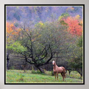 Herbst im Obstgarten des Pferds Poster