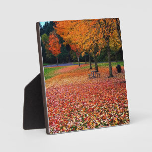 Herbst im Park Fotoplatte