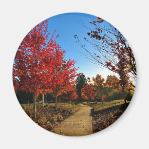 Herbst im Park, Oregon Magnet