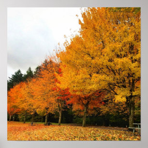 Herbst im Park, Oregon Poster