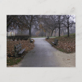 Herbst im Park Postkarte