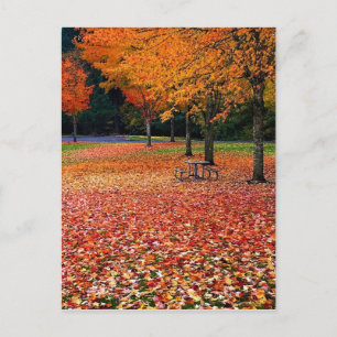 Herbst im Park Postkarte