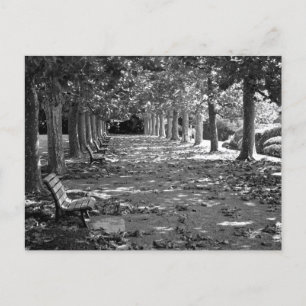 Herbst im Park: Tokio Postkarte