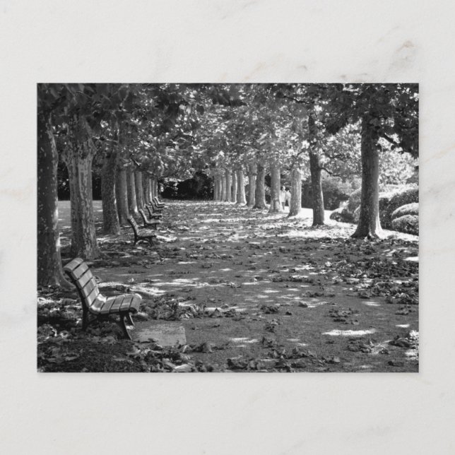 Herbst im Park: Tokio Postkarte (Vorderseite)