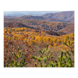 Herbst im Shenandoah-Nationalpark Fotodruck