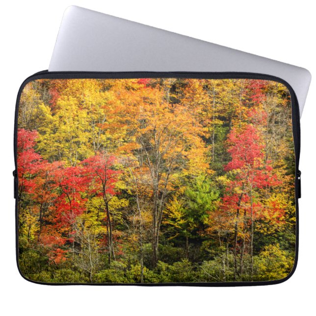 Herbst im Sims Pond North Carolina, Blue Ridge Laptopschutzhülle (Vorderseite)