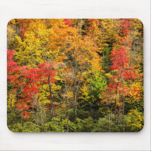 Herbst im Sims Pond North Carolina, Blue Ridge Mousepad
