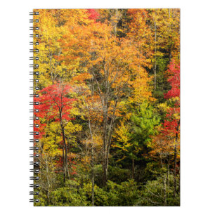 Herbst im Sims Pond North Carolina, Blue Ridge Notizblock