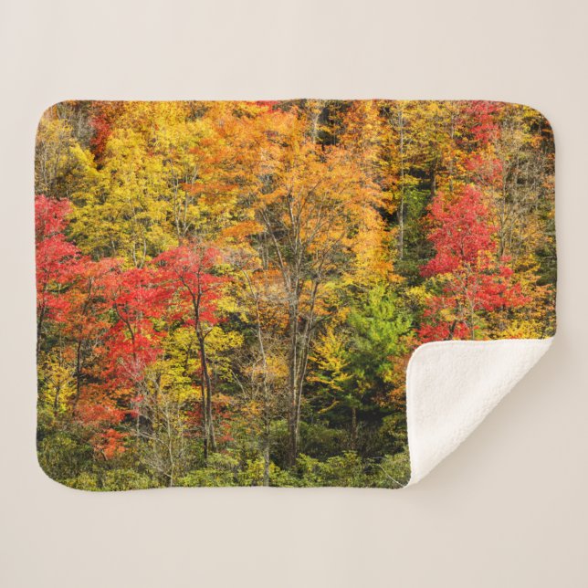 Herbst im Sims Pond North Carolina, Blue Ridge Sherpadecke (Vorderseite (Horizontal))