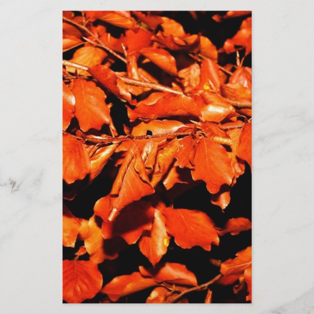 Herbst im Wald Briefpapier (Vorderseite)