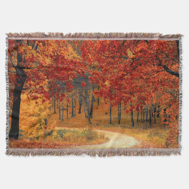 Herbst im Wald Decke (Vorderseite)
