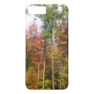 Herbst im Wald Farbige Herbstfotografie title_seo2