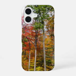 Herbst im Wald Farbige Herbstfotografie iPhone 16 Hülle
