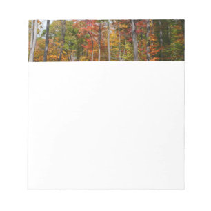 Herbst im Wald Farbige Herbstfotografie Notizblock