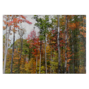 Herbst im Wald Farbige Herbstfotografie Schneidebrett