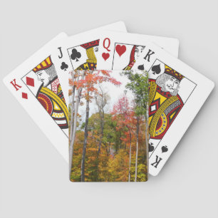 Herbst im Wald Farbige Herbstfotografie Spielkarten
