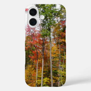 Herbst im Wald Farbige Herbstfotografie title_seo2