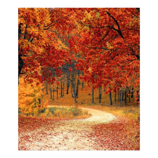 Herbst im Wald Fotodruck (Vorne)