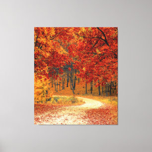 Herbst im Wald Leinwanddruck